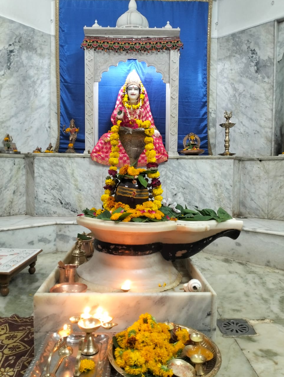 संवित धाम में पूरे श्रावण मास हो रहा शिव पंचांग अनुष्ठान  1008 शिवसहस्रनामावली से भस्मी अर्चना