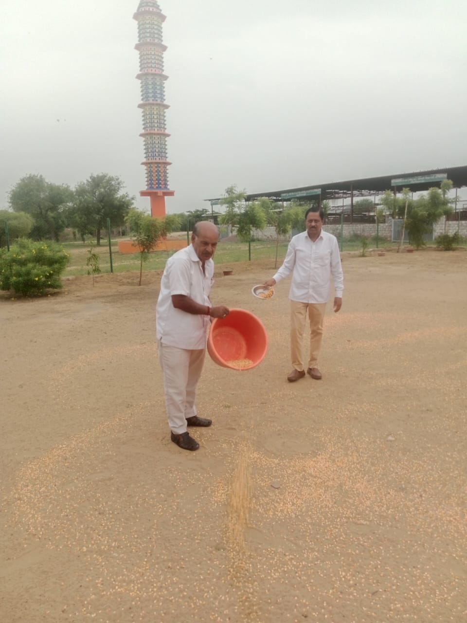 जीव दया : श्रीमति सुशीला कांकरिया को श्रद्धांजलि देने के लिए पक्षी चुग्गा घर में 1008 किलो चुग्गा दाना डाला
