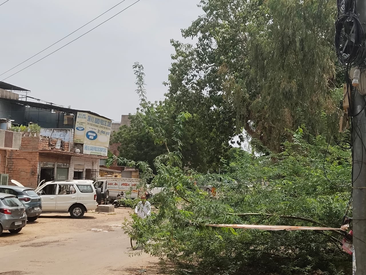 जागरूक नागरिकों ने संभाली जिम्मेदारी, सड़क पर गिरी टहनियों से वाहन चालकों को किया सावधान